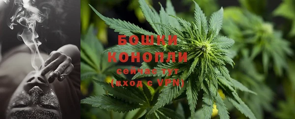 МДПВ Костерёво