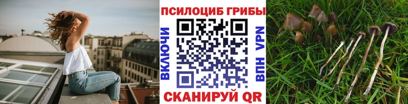 Псилоцибиновые грибы прущие грибы  Купить  Весьегонск 